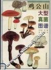 鸡公山大型真菌图谱 封面