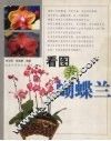 看图养蝴蝶兰 封面