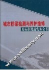 城市桥梁检测与养护维修及标准规范实务全书  第1卷 封面