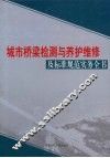 城市桥梁检测与养护维修及标准规范实务全书  第4卷 封面