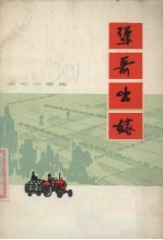 犟哥出嫁  革命故事集 封面