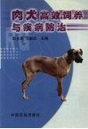 肉犬高效饲养与疾病防治 封面
