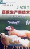 小尾寒羊高效生产新技术 封面