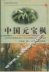 中国元宝枫 封面