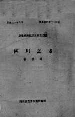 四川之漆 封面