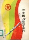 共青团工作新走向 封面