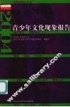 青少年文化现象报告  2004 封面