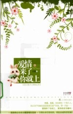 爱情来了你就上 封面