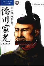 德川家光  第1部  守正出奇 封面