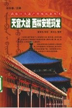 天宫大战  西林安班玛发 封面