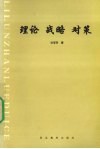 理论  战略  对策 封面