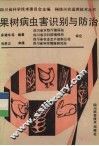 果树病虫害识别与防治 封面