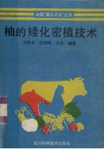 柚的矮化密植技术 封面