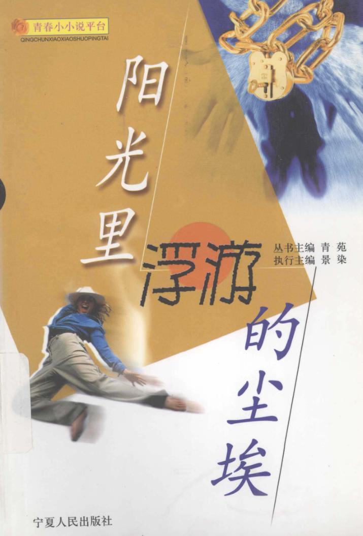 阳光里浮游的尘埃 封面