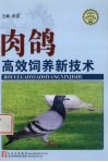 肉鸽高效饲养新技术 封面
