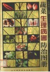 蔬菜生理病害防治图册 封面