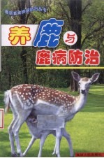 养鹿与鹿病防治 封面