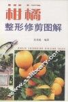 柑橘整形修剪图解 封面