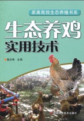生态养鸡实用技术 封面