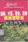 油菜、大豆、花生、芝麻病虫害防治原色图鉴 封面