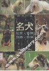名犬  玩赏  饲养  鉴别  防病 封面