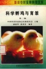 科学孵鸡与育雏  第2版 封面