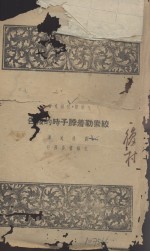 绞索勒着勃子时报告 电子书封面