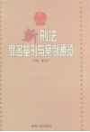 新刑法罪名量刑与案例通览  下 封面