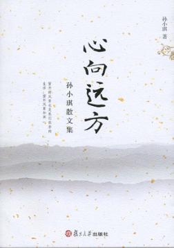 心向远方 封面