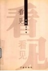 看见  诗集 封面