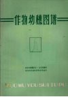 作物幼穗图谱 封面