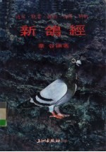 新鸽经 封面