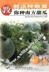 教你种南方甜瓜 封面