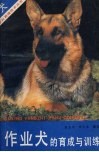 作业犬的育成与训练 封面