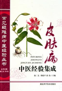皮肤病中医经验集成 封面