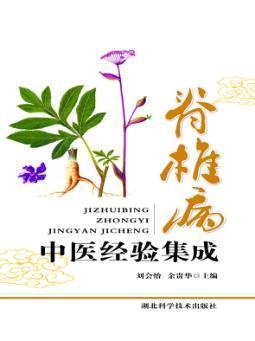 脊柱病中医经验集成 封面