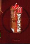 中国驰名商标攻略  中国驰名商标认定与保护研究 封面