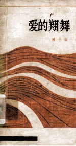 爱的翔舞 封面