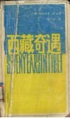 西藏奇遇 封面