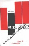 当代小说技巧 封面