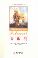 金银岛 封面