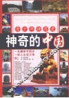 青少年读历史  神奇的中国 封面