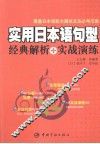 实用日本语句型  经典解析+实战演练 封面