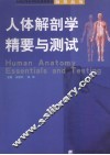 人体解剖学精要与测试 封面