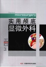 实用颅底显微外科 封面