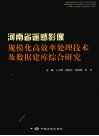 河南省遥感影像规模化高效率处理技术及数据建库综合研究 封面