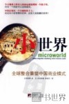 小世界  全球整合重塑中国商业模式 封面