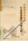 中国语言学批评  行走在文本与文化之间 封面