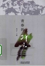 青春的印痕 封面