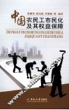 中国农民工市民化及其权益保障 封面